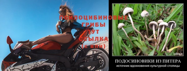 трава Верхнеуральск