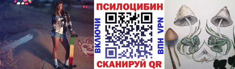 Купить  Славгород  Галлюциногенные грибы Magic Shrooms 