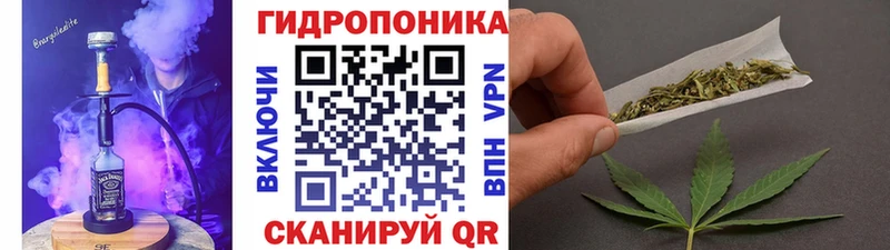 Каннабис планчик  Купить где  Славгород 